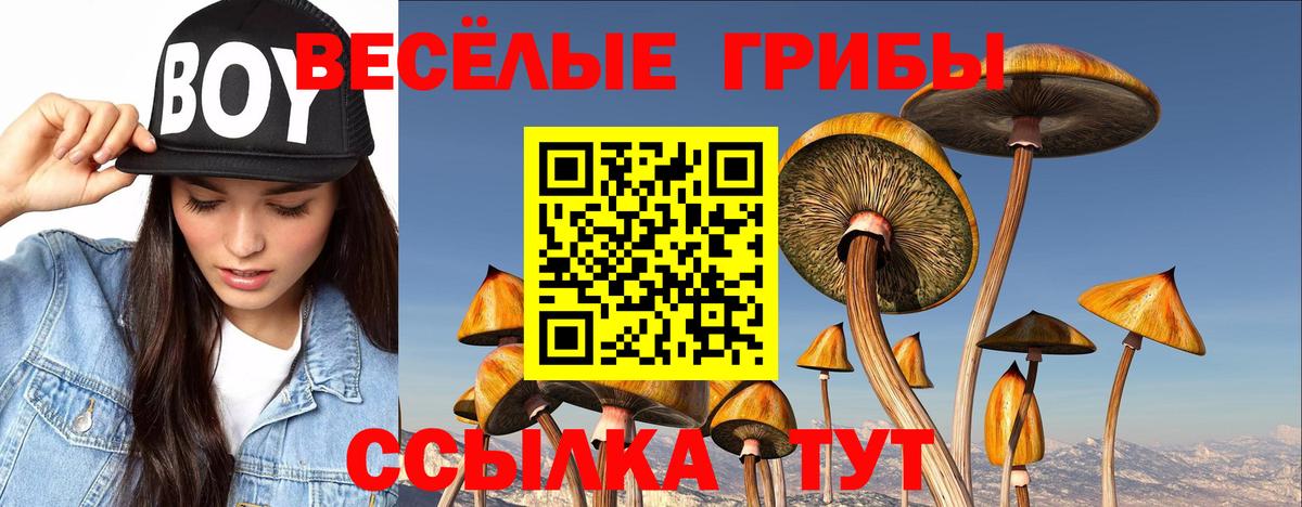 Солнечногорск  Псилоцибиновые грибы ЛСД  Вход с VPN  Псилоцибиновые грибы MAGIC MUSHROOMS 